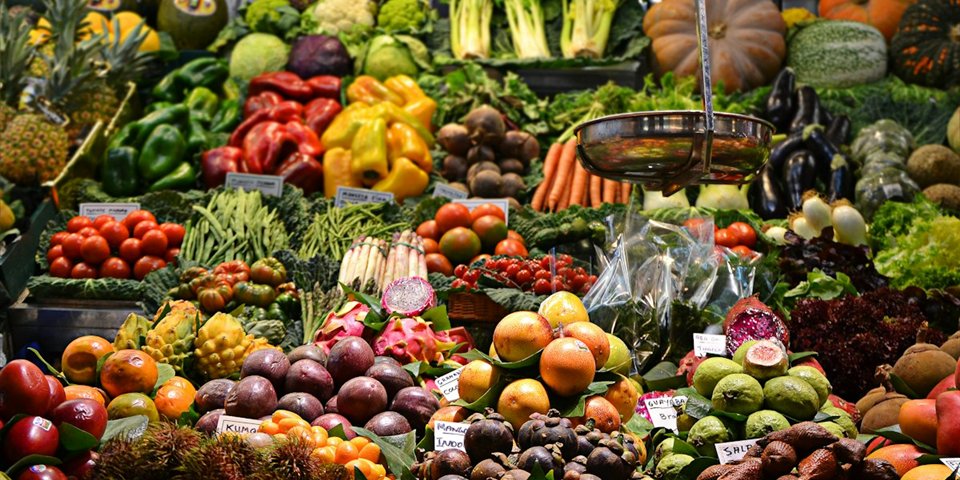 Nutrition et alimentation
