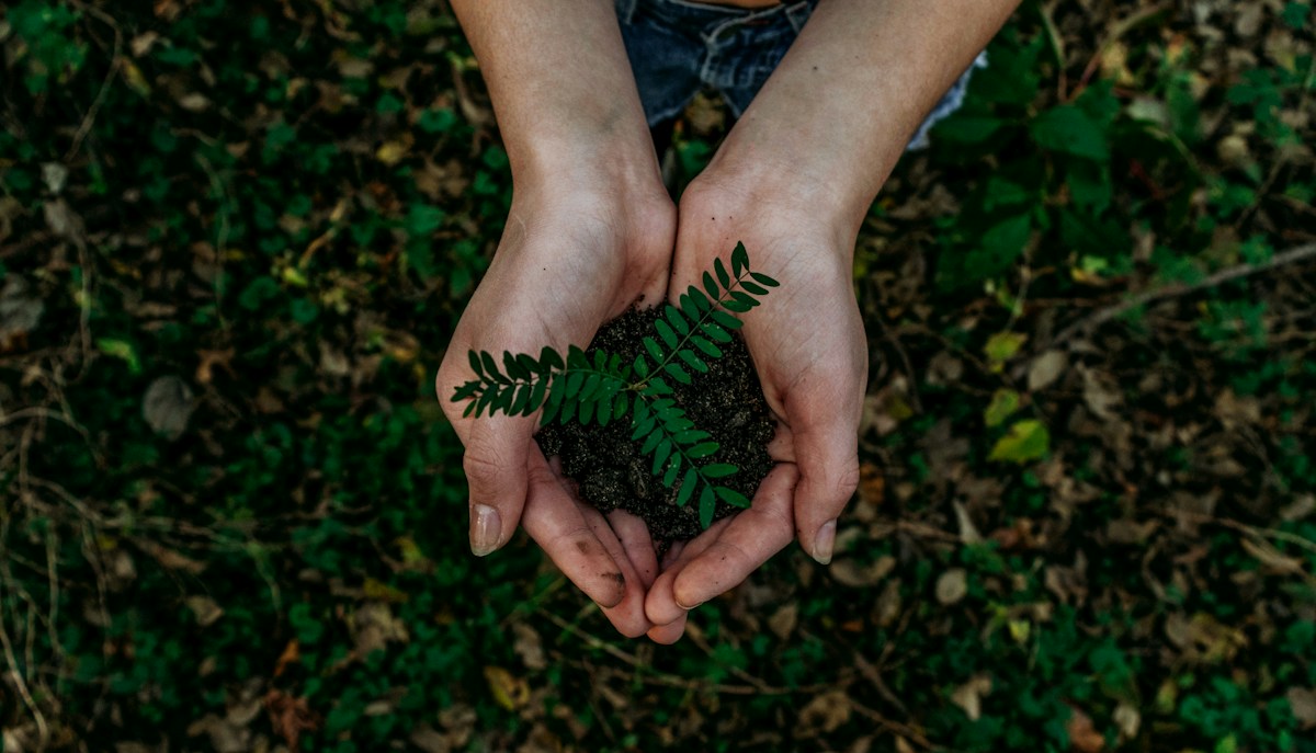 Planète et biodiversité